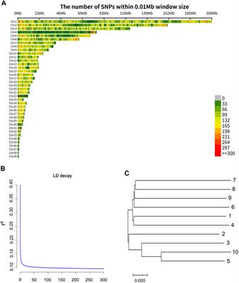 Whole genome sequencing of a wild swan goose population